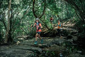 BIB: 
                            <button type="button" onclick="openModal(25863879)" class="btn btn-primary btn-sm float-right btn-popup" data-toggle="modal" data-target=".modal-high-quality">
                        <i class="fas fa-shopping-cart"></i> Add to Cart
                    </button>
                                            <button type="button" onclick="isThisMe(25863879, true)" class="btn btn-success btn-sm float-right btn-popup btn-isme hidden" data-toggle="tooltip" data-placement="bottom" title="นี่คือรูปของคุณใช่ไหม คลิกที่นี่เพื่อเอาเข้าอัลบั้ม">
                        <i class="fas fa-plus"></i> Add to album
                    </button>
                    <button type="button" onclick="isThisMe(25863879, false)" class="btn btn-warning btn-sm float-right btn-popup btn-isnotme hidden">
                        <i class="fas fa-ban"></i> Remove from album
                    </button>